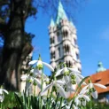 Naumburger Dom St. Peter u. St. Paul